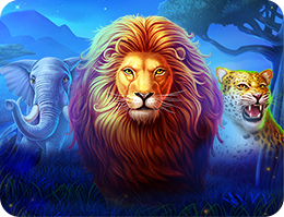 The Ultimate 5